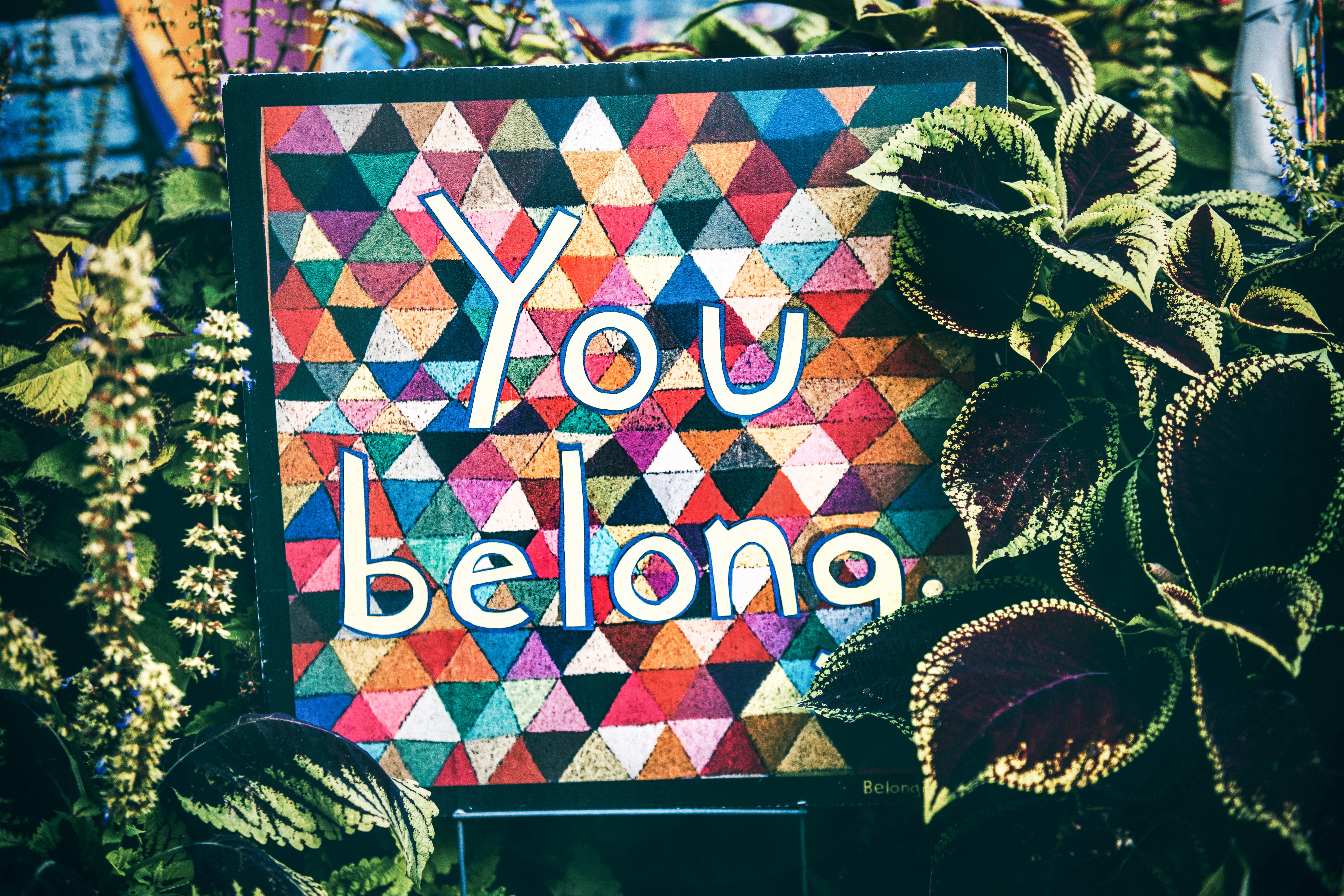Tim Mossholder, Unsplash - Colorful sign that says You Belong